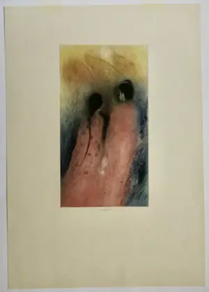 Reijer Stolk - en Div kunstenaars- 12 werken kopen? Bied vanaf 10!