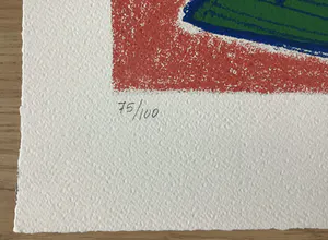 Corneille - Regard sur l'oiseau kopen? Bied vanaf 160!