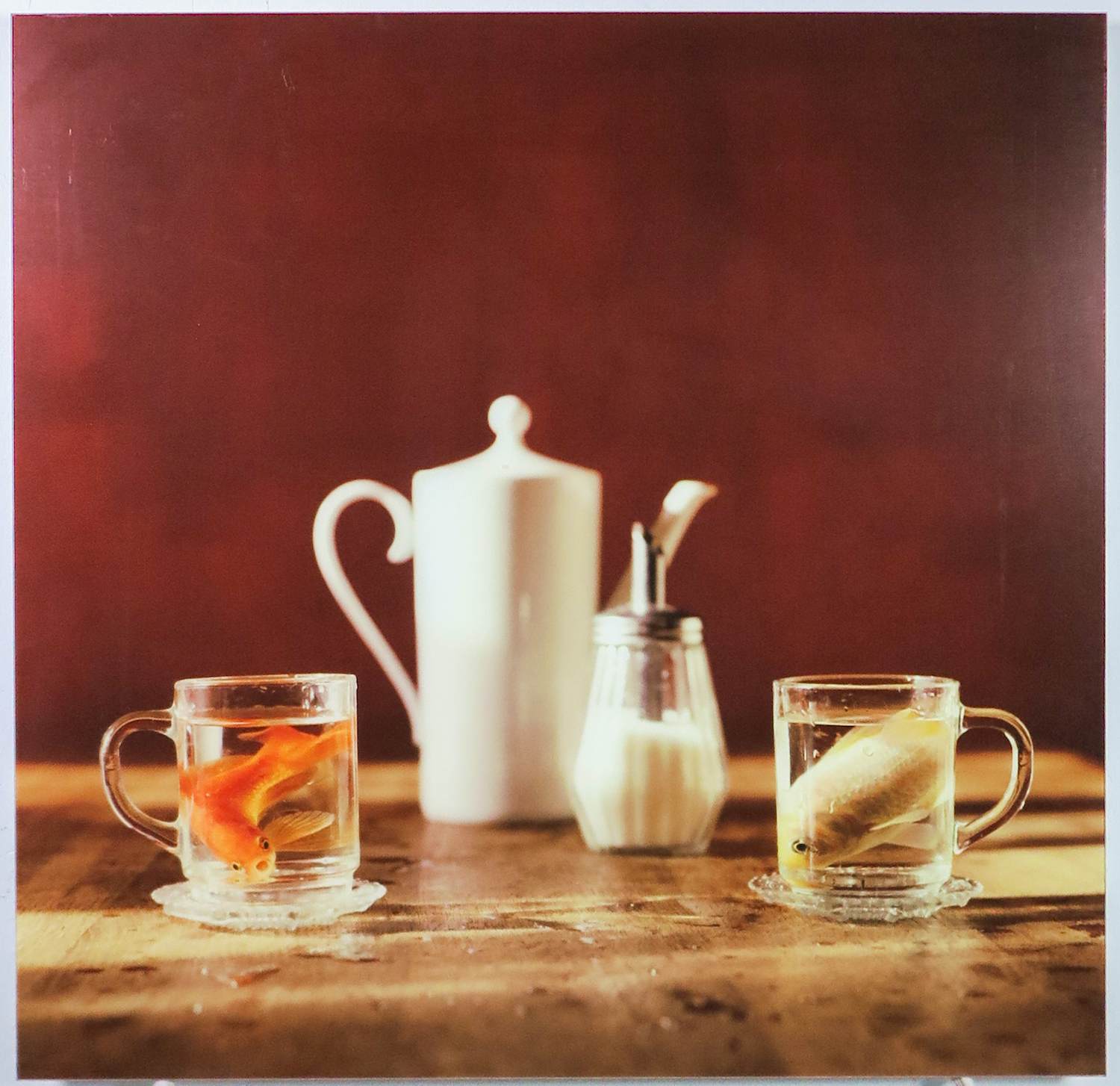 Eva Roovers - Foto op aluminium, High Tea kopen? Bied vanaf 150!