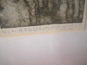 Niet of onleesbaar gesigneerd - Kaffers vd vogelwiede kopen? Bied vanaf 1!