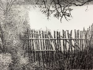 Charles Donker - ets - 'Eendekooi' - Definitieve VIIe staat - 1984 (GROOT) kopen? Bied vanaf 500!