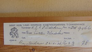 Robin Deirkauf - Twee soorten bladeren kopen? Bied vanaf 75!