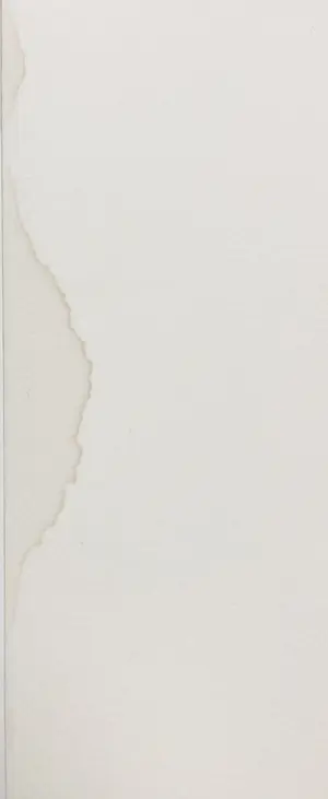 Corneille - Litho, L'oiseau né kopen? Bied vanaf 1!