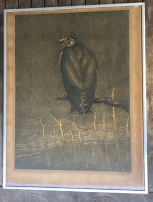 Chris Le Roy - Vogel; Valk kopen? Bied vanaf 10!