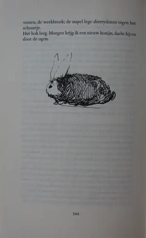 Dirkje Kuik - Inkttekening uit het boek: "de nachtcactus bloeit" kopen? Bied vanaf 55!