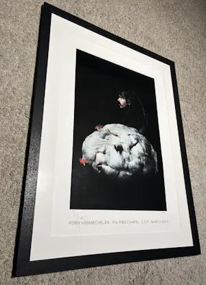 Koen Vanmechelen - Offset Koen Vanmechelen kopen? Bied vanaf 575!