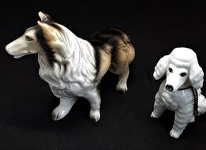 Curiosa - 2 Antieke porseleinen hondjes kopen? Bied vanaf 1!