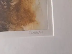 Ton Diekstra - kleurenets-Rome I kopen? Bied vanaf 40!