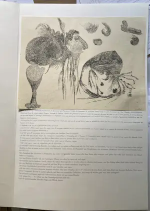 Ursula Schultze-Bluhm - Radierung aus "Die Mondbohne", Blatt 2, signiert, 1967 kopen? Bied vanaf 70!