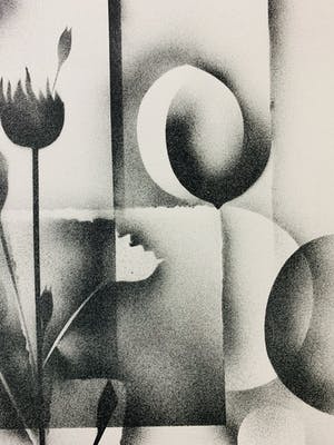 Gislain Dussart - Tulips kopen? Bied vanaf 10!