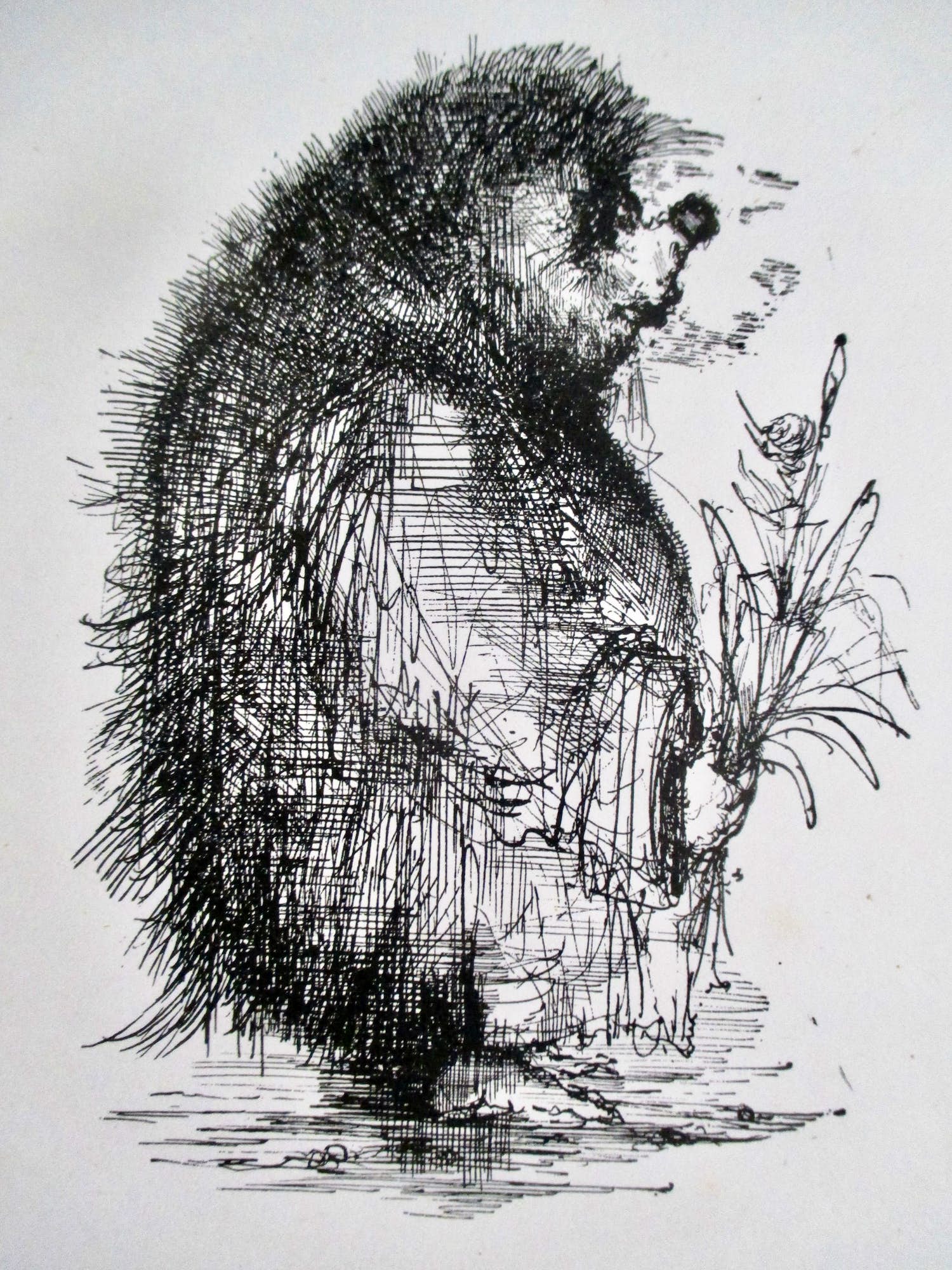 Dirkje Kuik - Litho verkocht voor € 50!