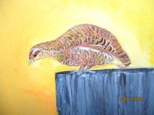 Ari Stolk - Hoenders in berglandschap kopen? Bied vanaf 35!