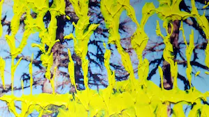 Gerhard Richter - '26. 5.92' - Farboffset, drucksigniert kopen? Bied vanaf 69!