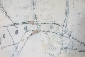 Cora Euser - Gemengde techniek op karton, Toilet (Groot) kopen? Bied vanaf 1!