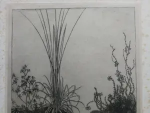 Jan Mankes - Witte muizen. Heliogravure. kopen? Bied vanaf 1!