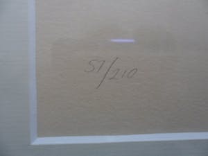 Kenneth Daley - etsen, Aquatint .titel, "Philodendron". kopen? Bied vanaf 10!