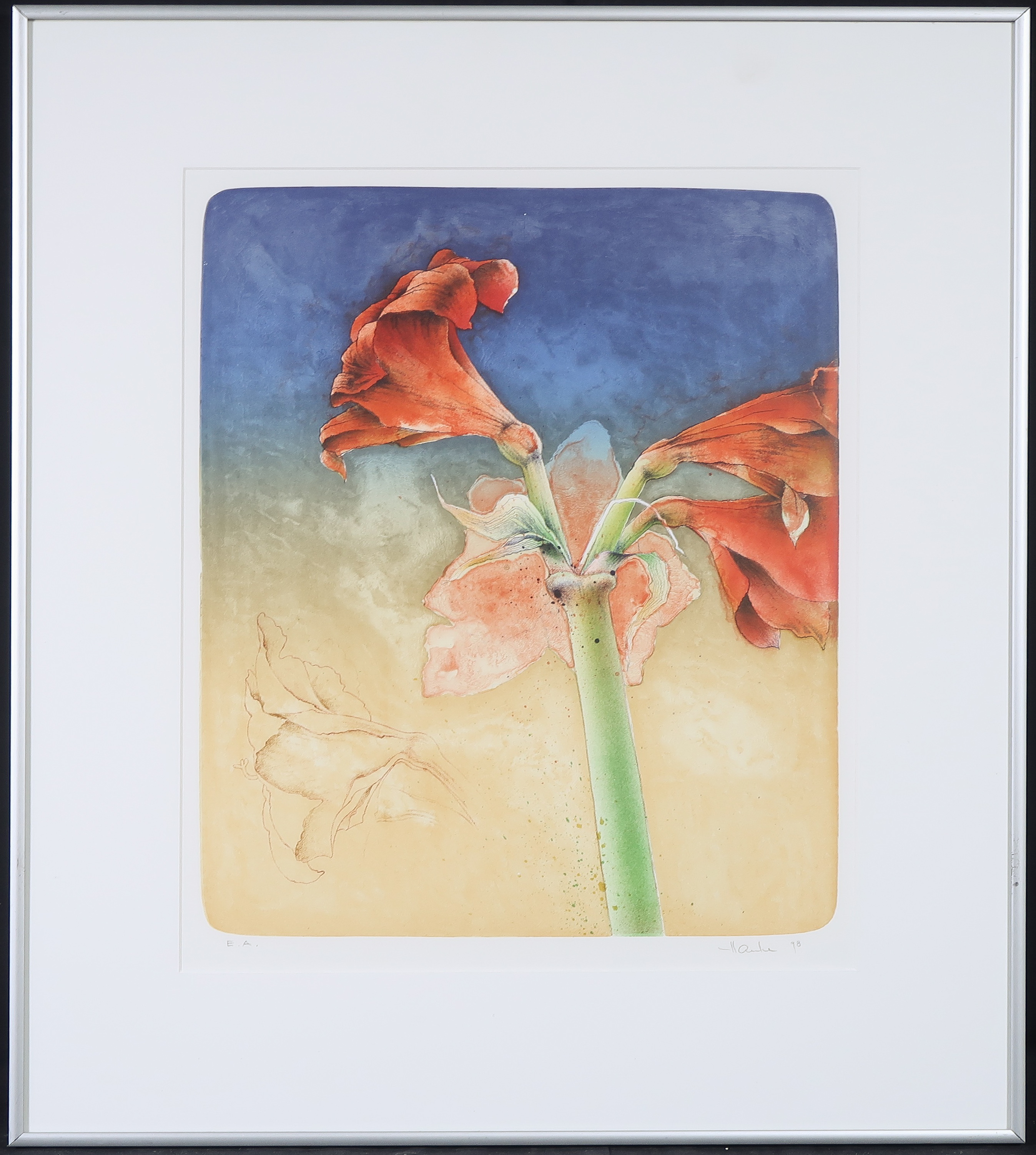Ernst Hanke - Litho, Kleine amaryllis - Ingelijst kopen? Bied vanaf 20!