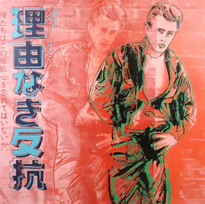 Andy Warhol - Zeefdruk, 'A rebel without a cause' uit de serie Ads - Ingelijst (Groot) kopen? Bied vanaf 1!