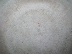 Niet of onleesbaar gesigneerd - Caledon schaal kopen? Bied vanaf 10!