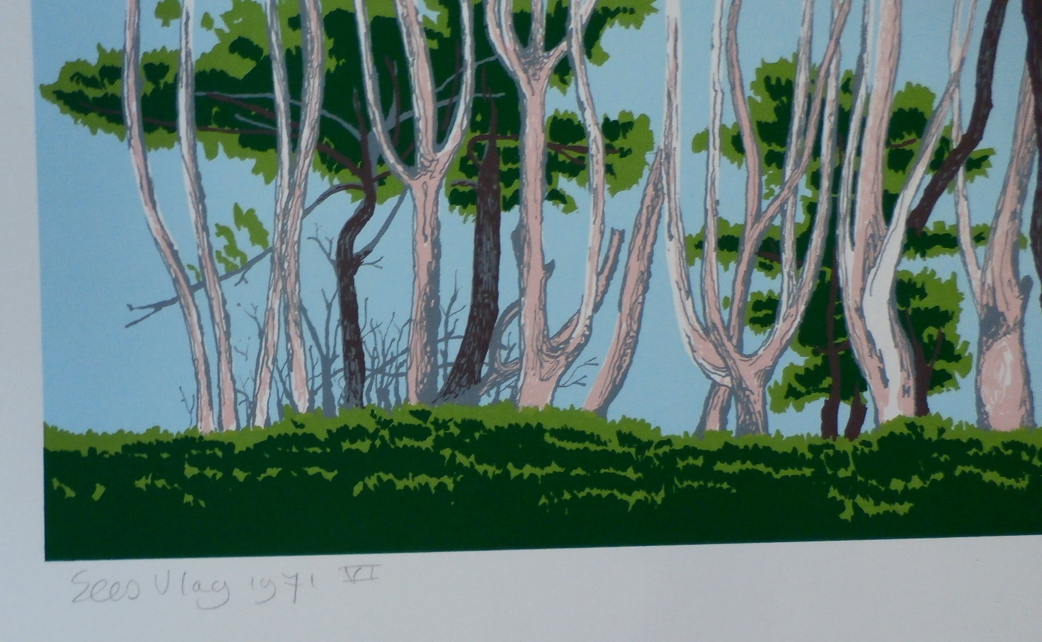 Sees Vlag - Zeefdruk: Bomen l'ile - Grande - 1971 kopen? Bied vanaf 60!