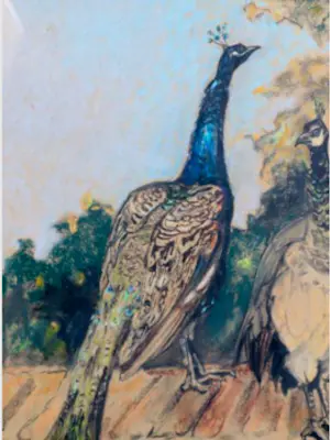 Adri Pieck - zittende pauwen op het dak kopen? Bied vanaf 325!