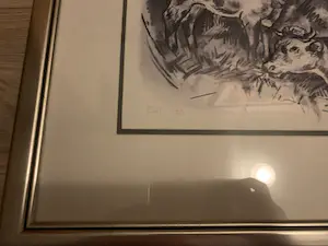 Mary Koekenbier - Koeien kopen? Bied vanaf 35!