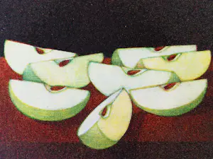 Joop Vegter - Fraaie kleine mezzotint "partjes Appel" - kleine oplage - potloodgesigneerd kopen? Bied vanaf 75!