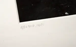 Toon Michiels - IJsland kopen? Bied vanaf 150!