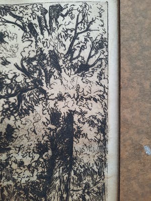 Ids Wiersma - ETS 'de Professorenhuizen' - Voorstraat Franeker 1934 - 21077 kopen? Bied vanaf 75!