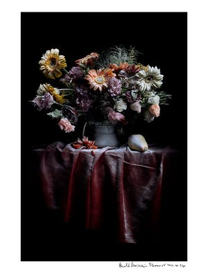 Arnold Mariashin - Flowers V kopen? Bied vanaf 125!