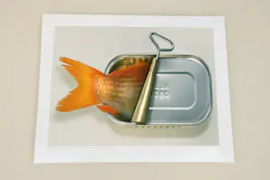 Dominic Rouse - 'Fish Can & Fish Can't' (2011) - Twee prints kopen? Bied vanaf 140!