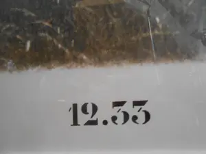 Hans Biezen - 12.33 - (groot!) kopen? Bied vanaf 40!