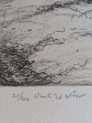 Hans van Dokkum - Winterlandschap kopen? Bied vanaf 15!