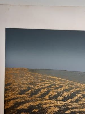 Elmar Gille - Casa Ardente kopen? Bied vanaf 295!