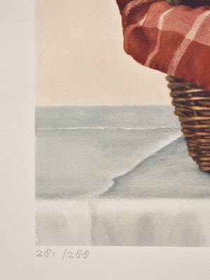 Marina Radius - Beren in een mandje kopen? Bied vanaf 1!