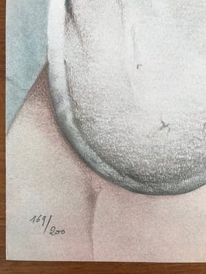 Pol Mara - Gesigneerde litho - 169/200 - zeer goede staat kopen? Bied vanaf 75!