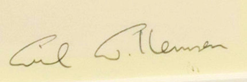 Wil Willemsen - Zeefdruk, Sophisticated - Ingelijst kopen? Bied vanaf 60!