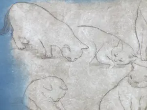 Christel Selmouni - Katten - Kleurets kopen? Bied vanaf 75!