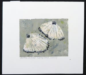 Betty Scheer - Linosnede, Schelpen kopen? Bied vanaf 70!