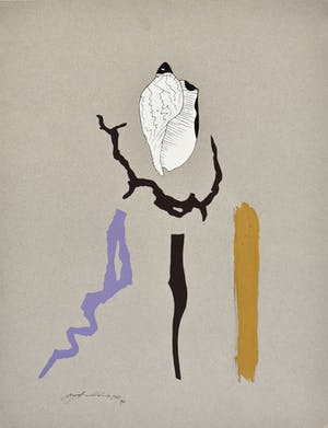 Niet of onleesbaar gesigneerd - Sea Shells kopen? Bied vanaf 1!