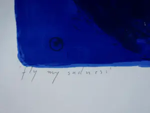 Piet Warffemius - zeefdruk " Fly my sadness" kopen? Bied vanaf 34!