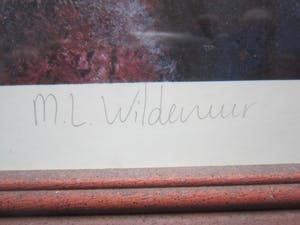 Maya Wildevuur - Geisha's kopen? Bied vanaf 75!