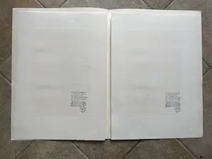 Wifredo Lam - twee etsen in portfolio kopen? Bied vanaf 575!