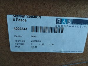 Selwyn Senatori - il Pesce kopen? Bied vanaf 140!