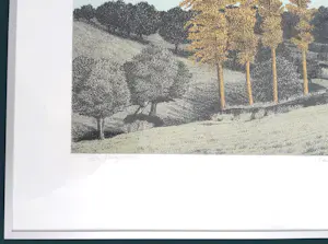 Sees Vlag - Geuldal kopen? Bied vanaf 70!