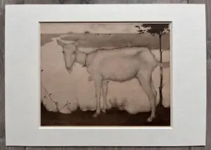 Jan Mankes - Originele Heliogravure Geit bij het Meer 1923 kopen? Bied vanaf 135!