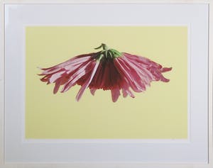 Mark Verdoes - Foto, Colors and Structures - Ingelijst (Groot) kopen? Bied vanaf 1!