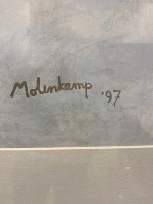 Nico Molenkamp - Vogel kopen? Bied vanaf 50!