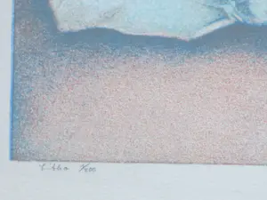 Georg Hadeler - Erotische Droom - Kleurenlitho kopen? Bied vanaf 75!