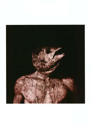 Paul Blanca - Zelfportret met Vissenkop verkocht voor € 1!